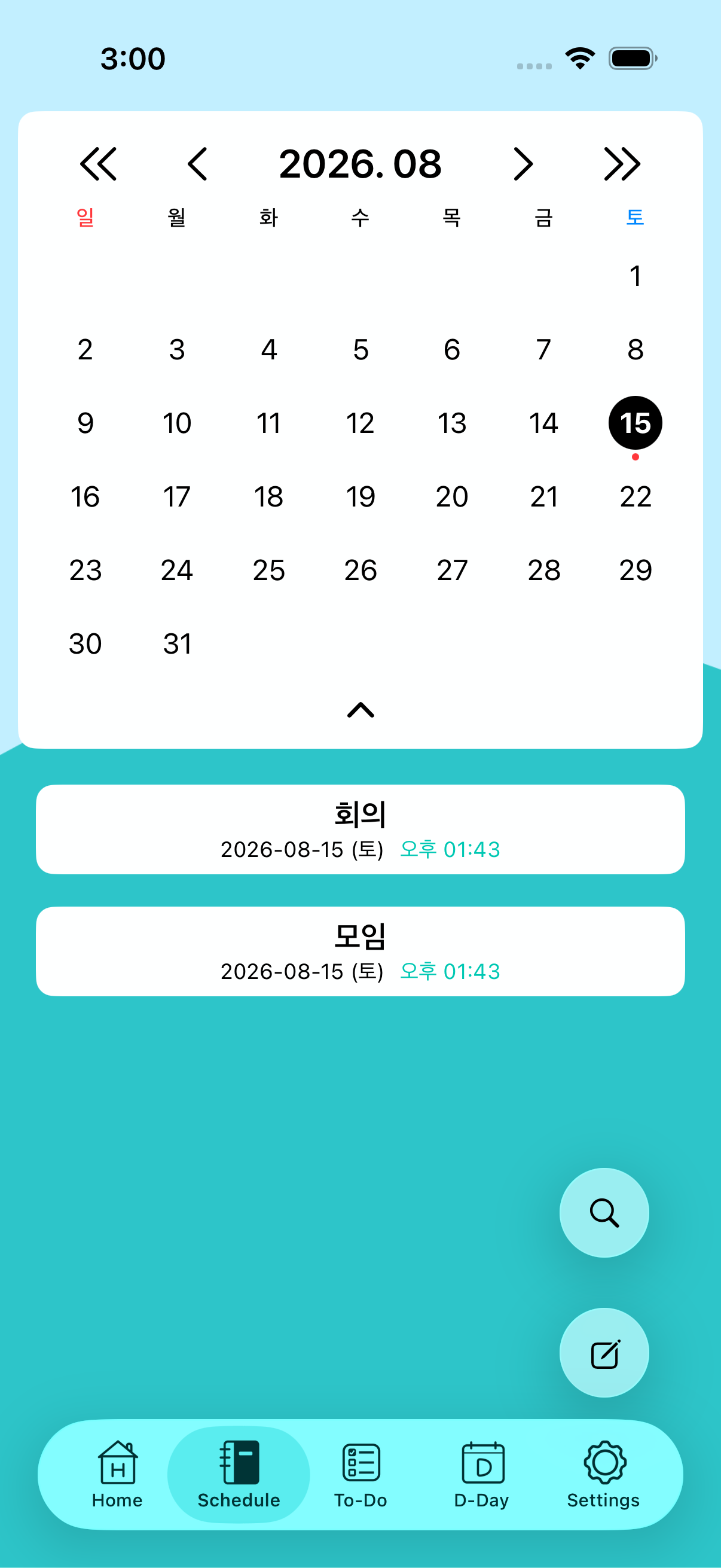 일정